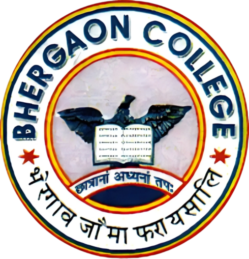 Bhergaon College
